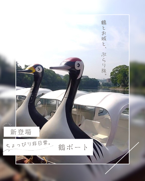 新着情報