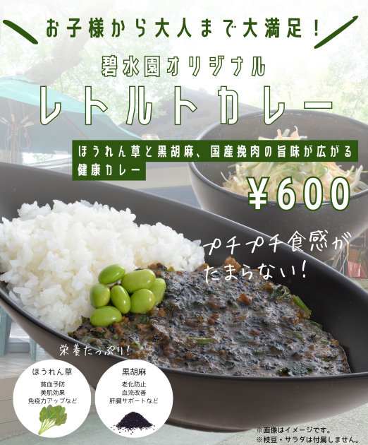 新着情報