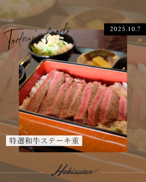 新着情報